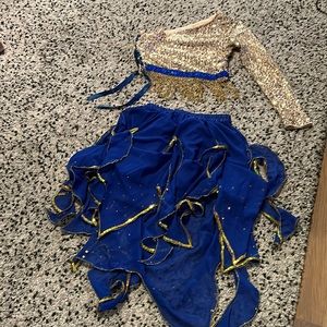 Bollywood Lady Costume